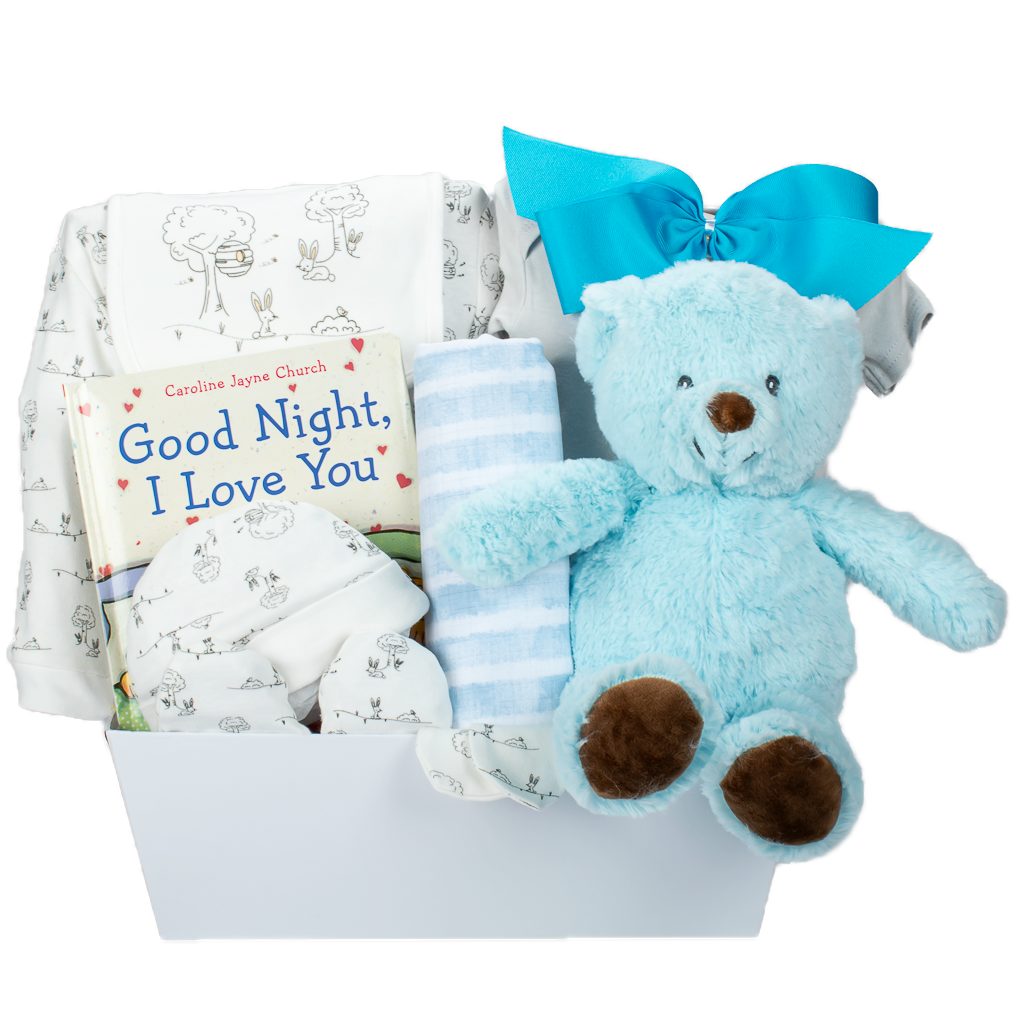 Teddy Bear Plush With Book And Onsie