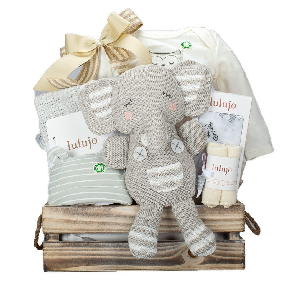 Neutral Baby gift baskets for delivery in Canada.