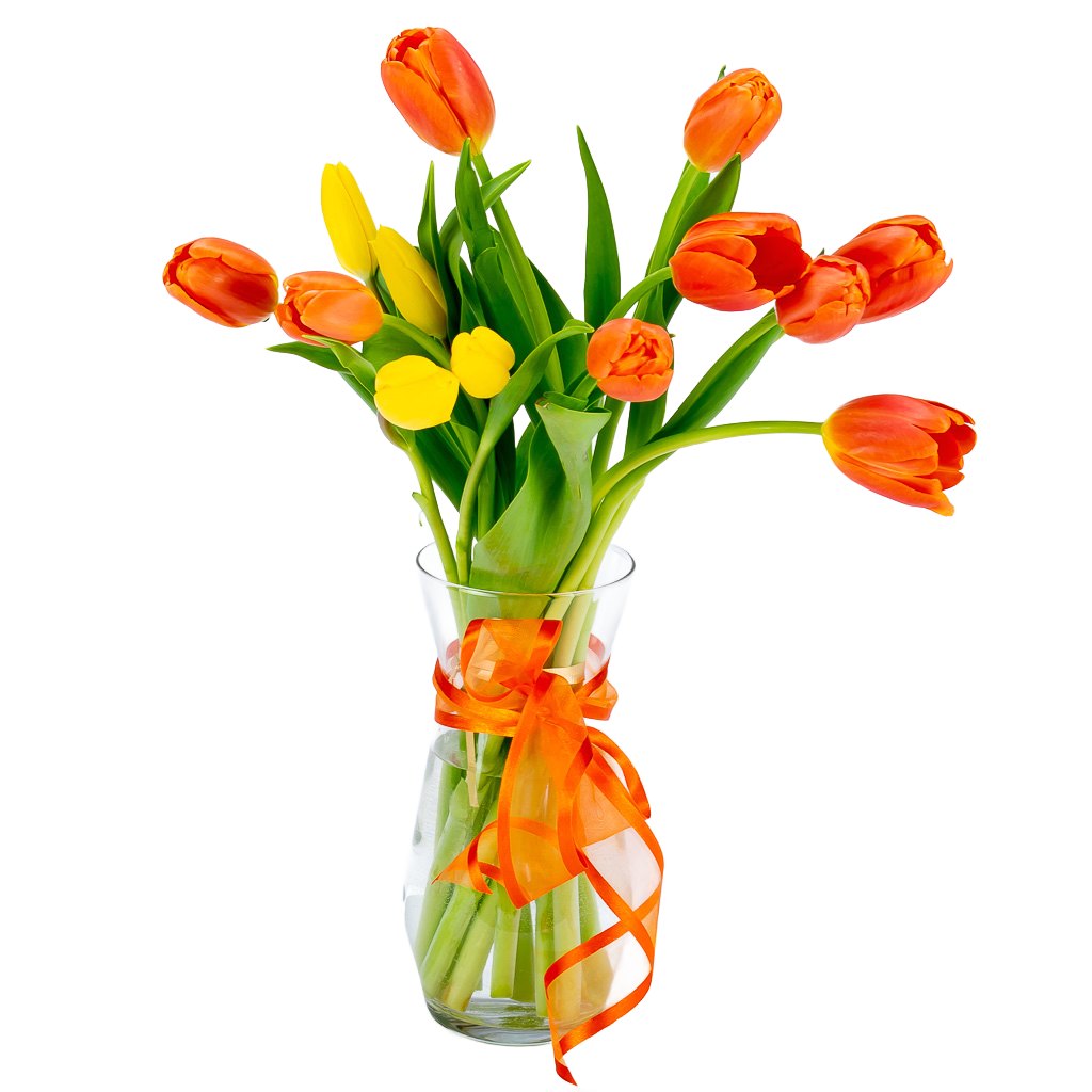 Tulips in a Vase Gift Options