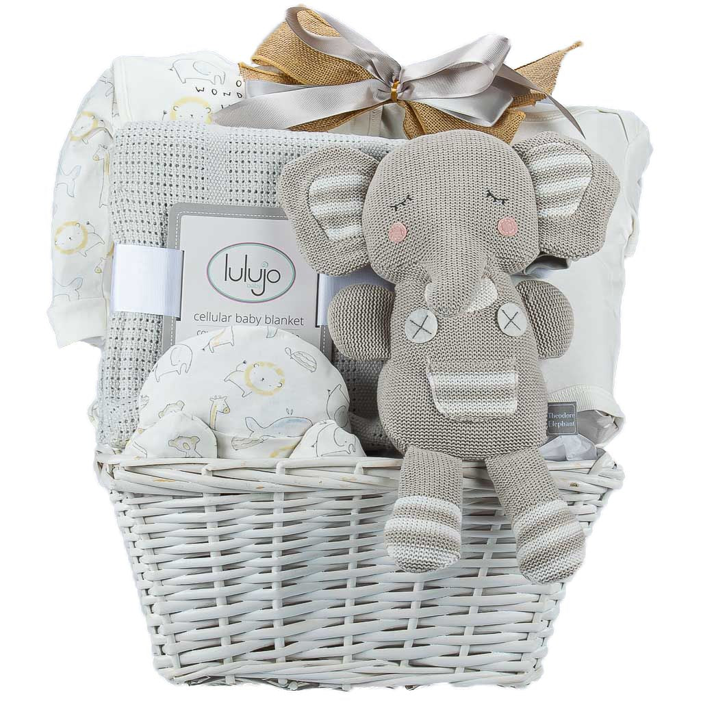 Guide To Top Newborn Baby Gift Baskets