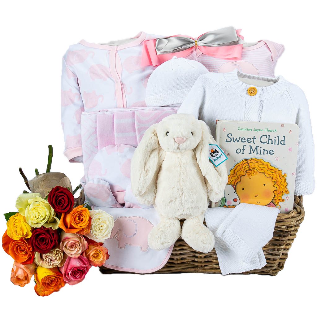 Welcome Home Baby Girl Pink Deluxe Gift Basket