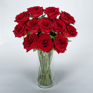 12 Red Roses