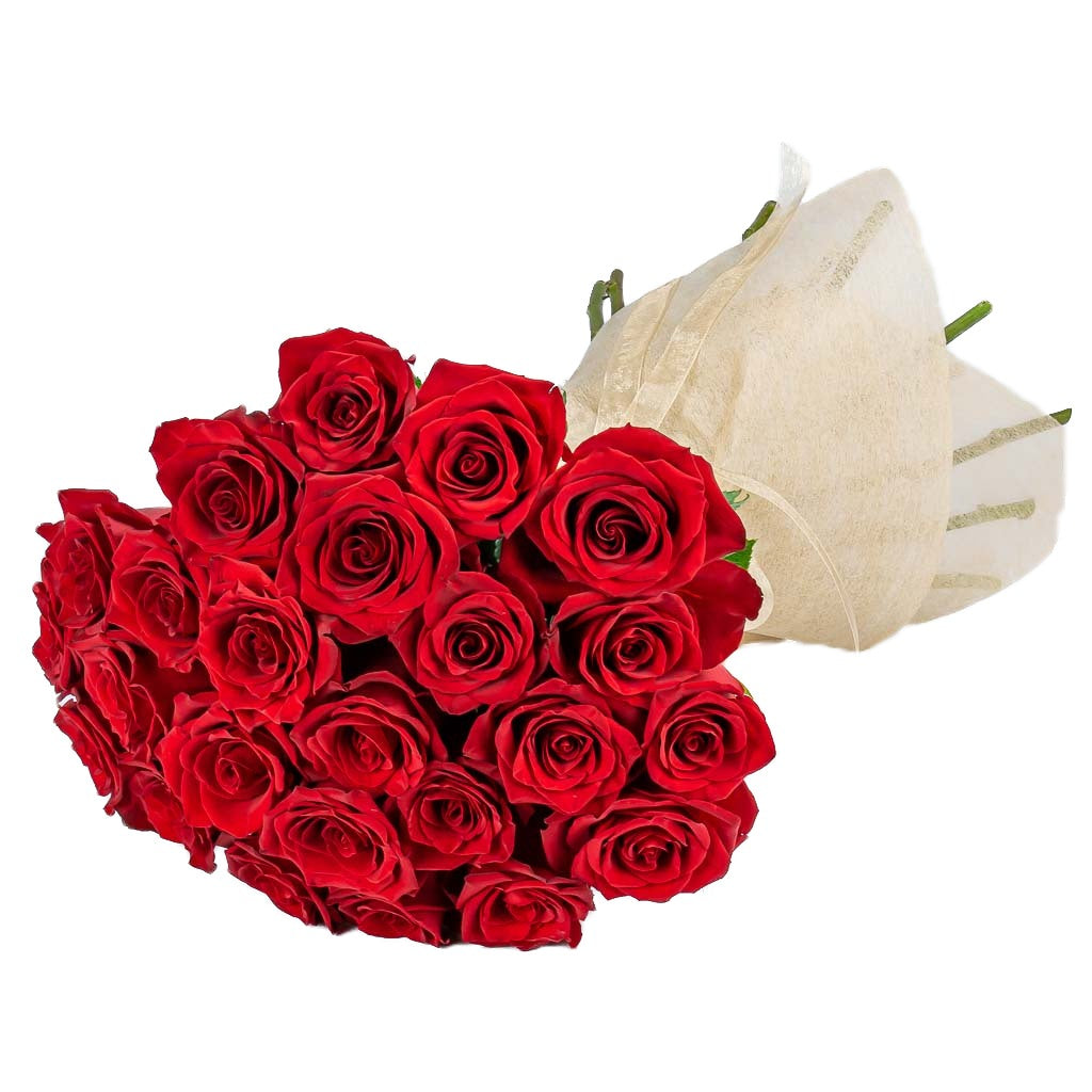 50 Premium Red Roses