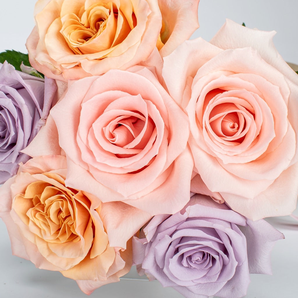 6 Mixed Colour Roses - MY BASKETS