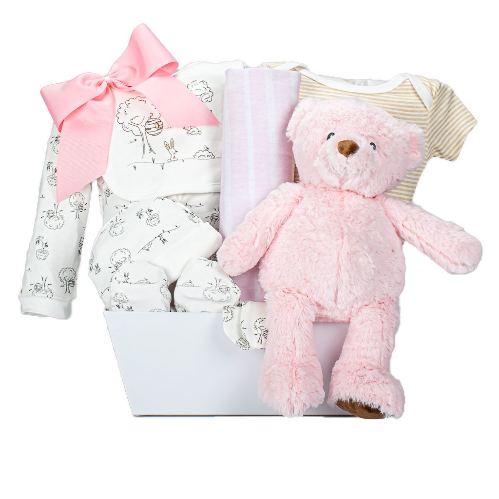 Baby Girl Teddy Plush And Matching Set