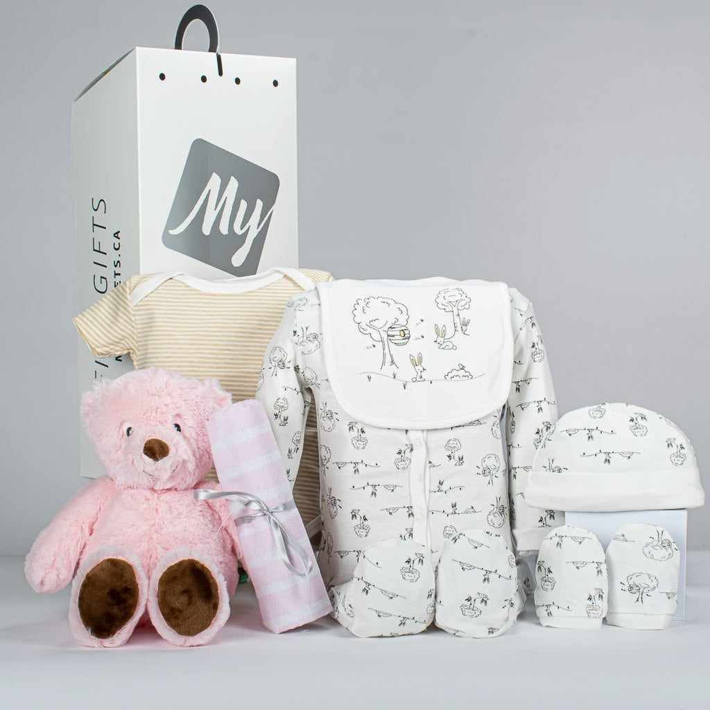 Baby Girl Onsies and Blanket With Plush