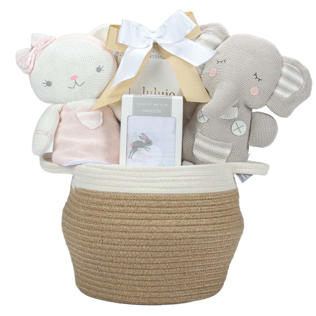 Luxury Twins Baby Gift