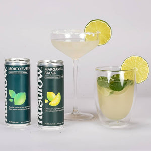 Margarita And Mojito Mocktails 