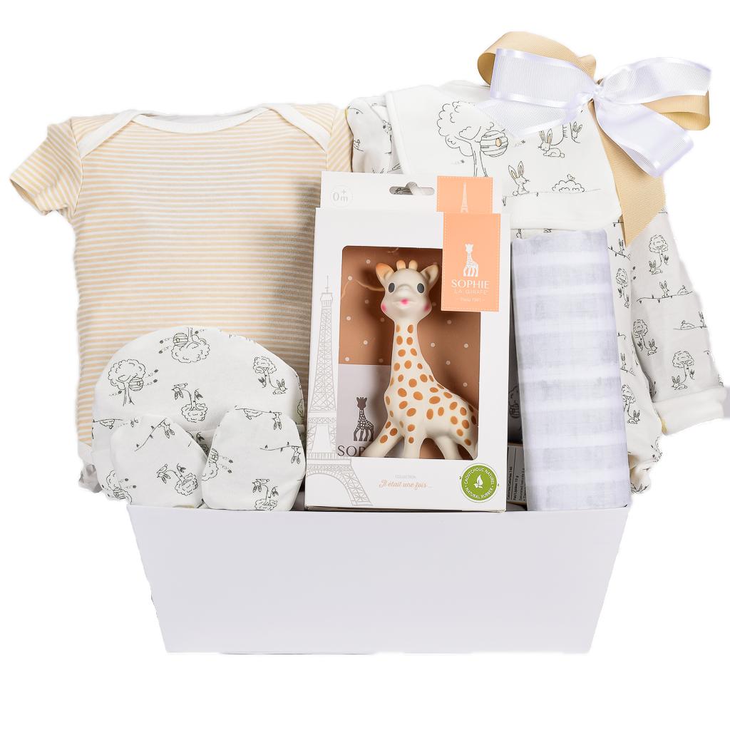 Baby Sophie Teether With Neutral Baby Clothing