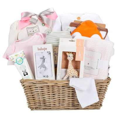 Luxury Baby Girl Gift With Sophie Teether And Pink Knit Blanket
