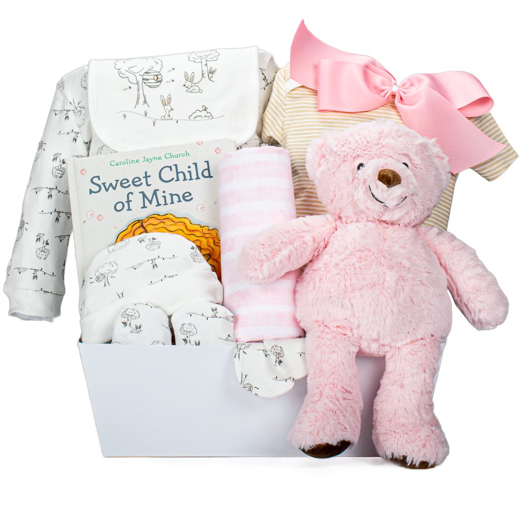 Baby Girl Plush And 5 Piece Set