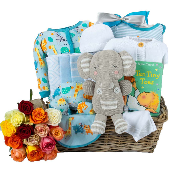 Best Baby Boy Gift, Newborn Home, Baby Hamper Gift Delivery