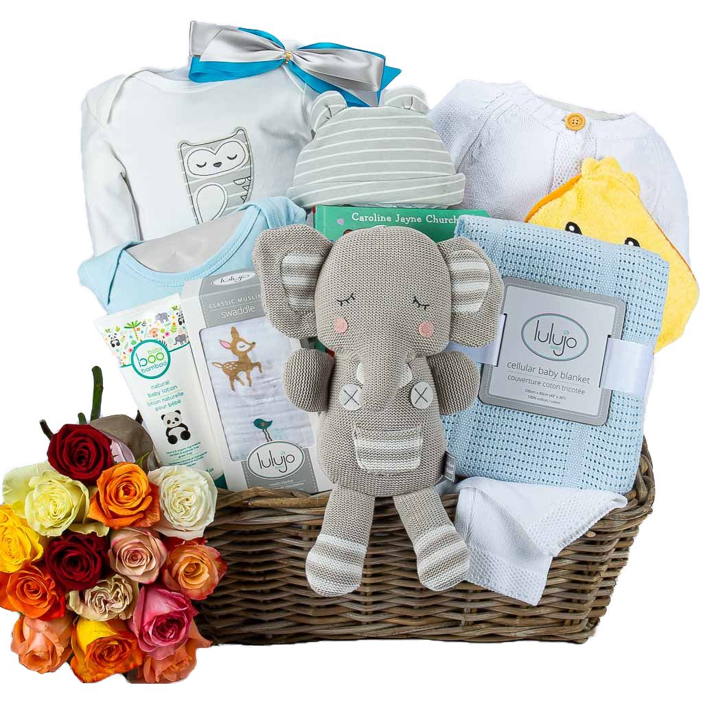 Luxur Baby Boy Basket With Elephant plush and Roses