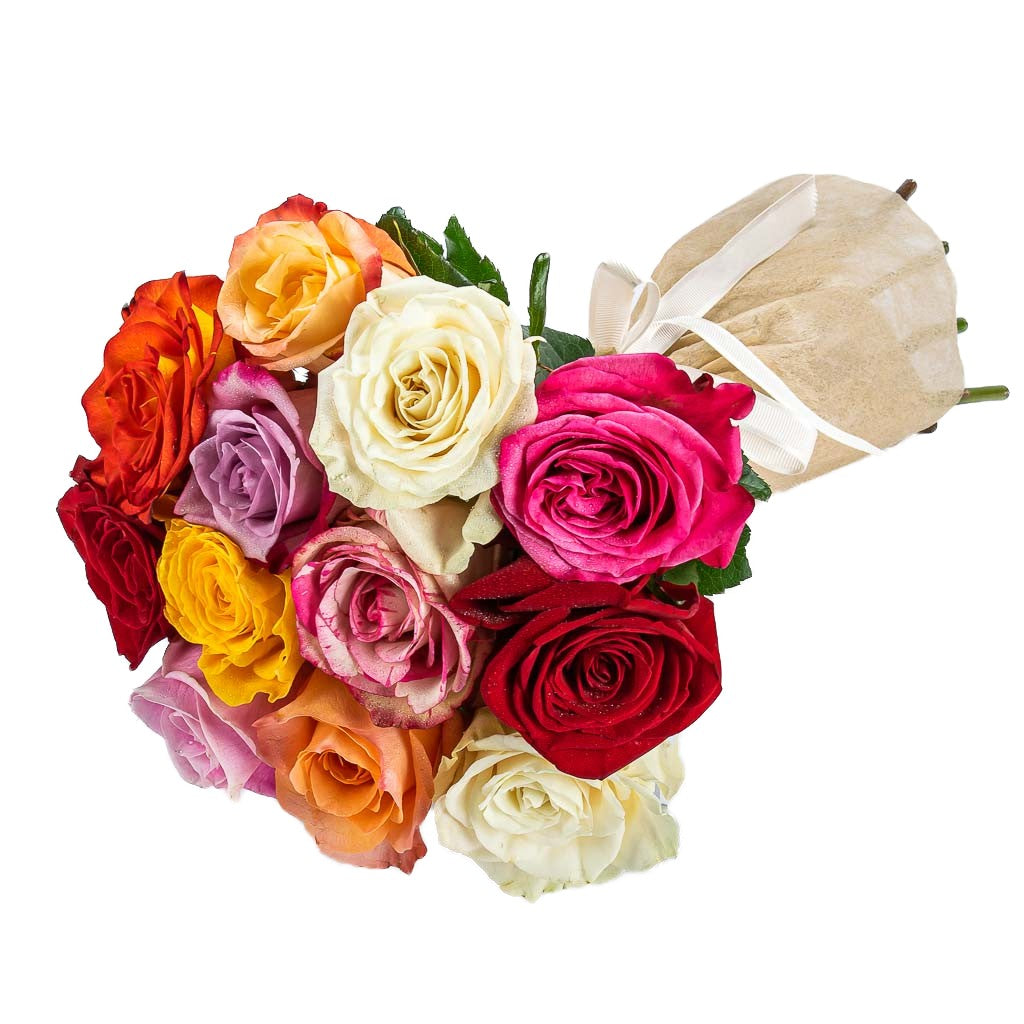 Dozen Mixed Colour Roses