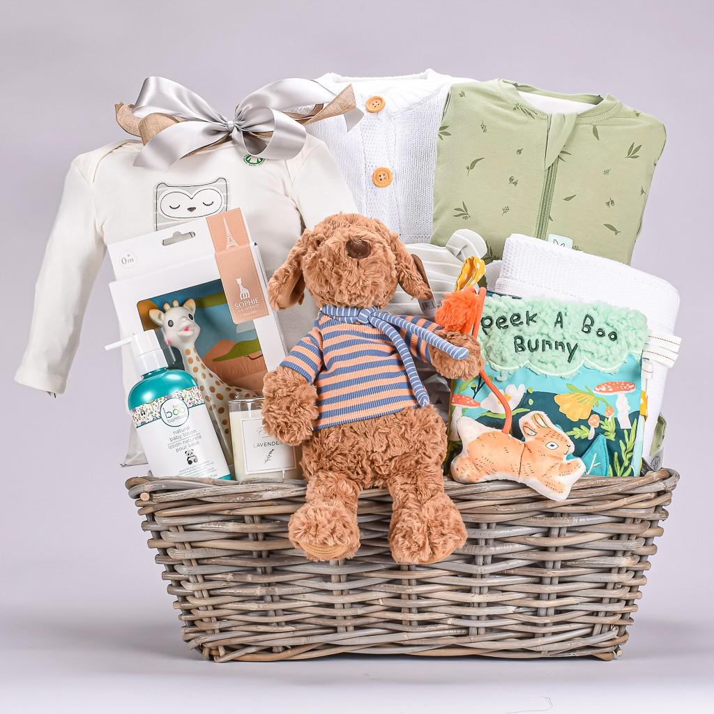 Ultimate Luxury Baby Gift