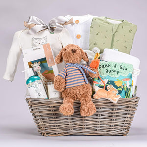 Ultimate Luxury Baby Gift