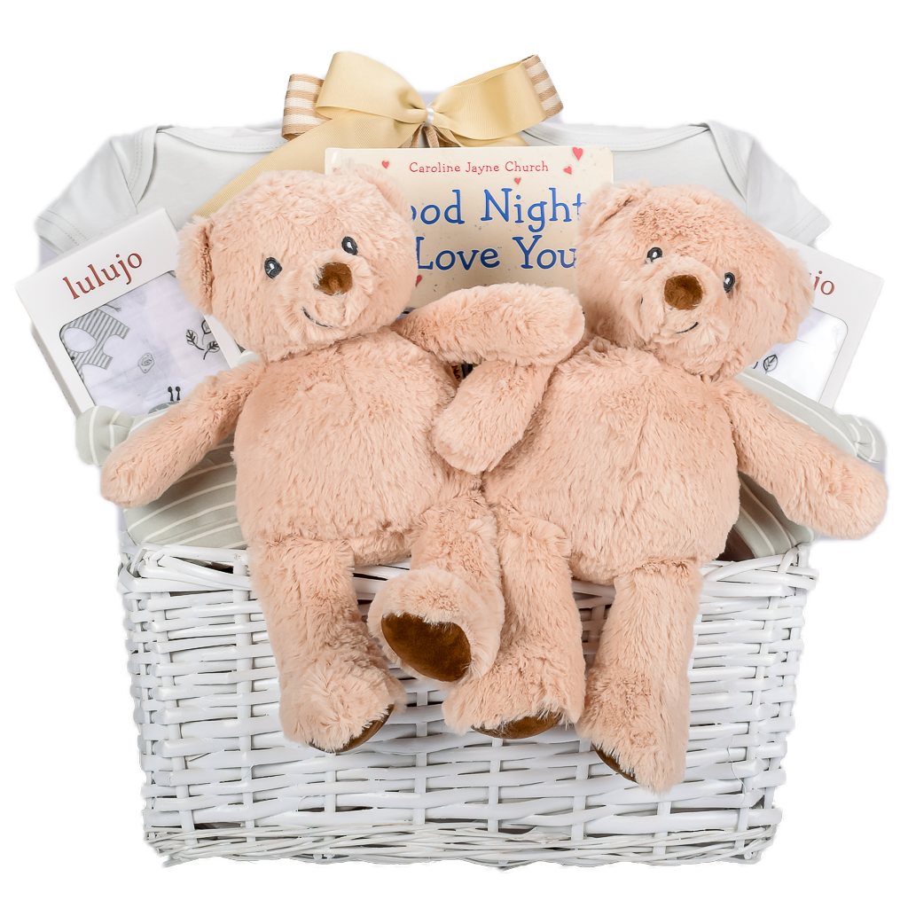 Premium Twins Baby Basket