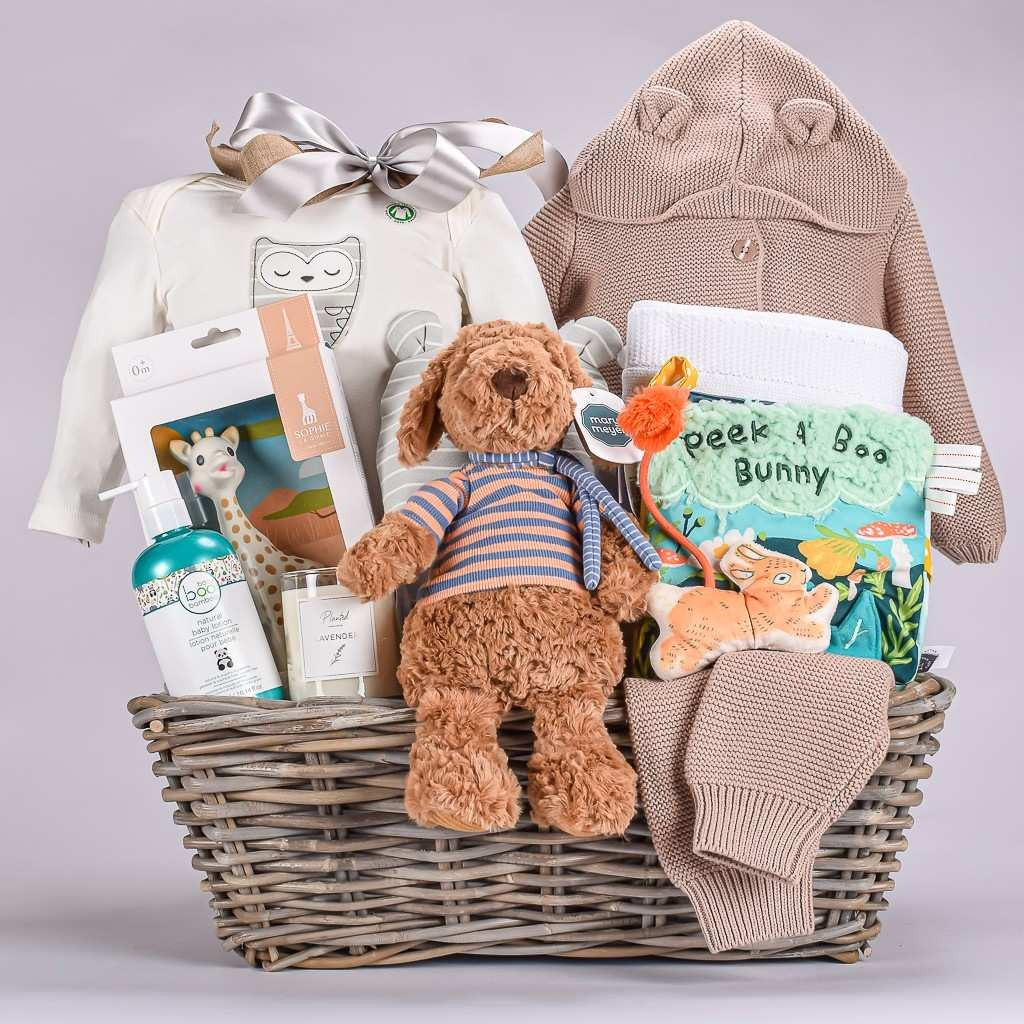 Ultimate Luxury Baby Gift