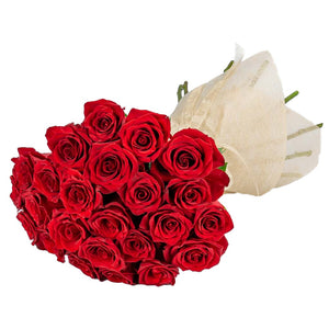 Long Stem Red Roses (Ontario & Quebec Delivery Only)