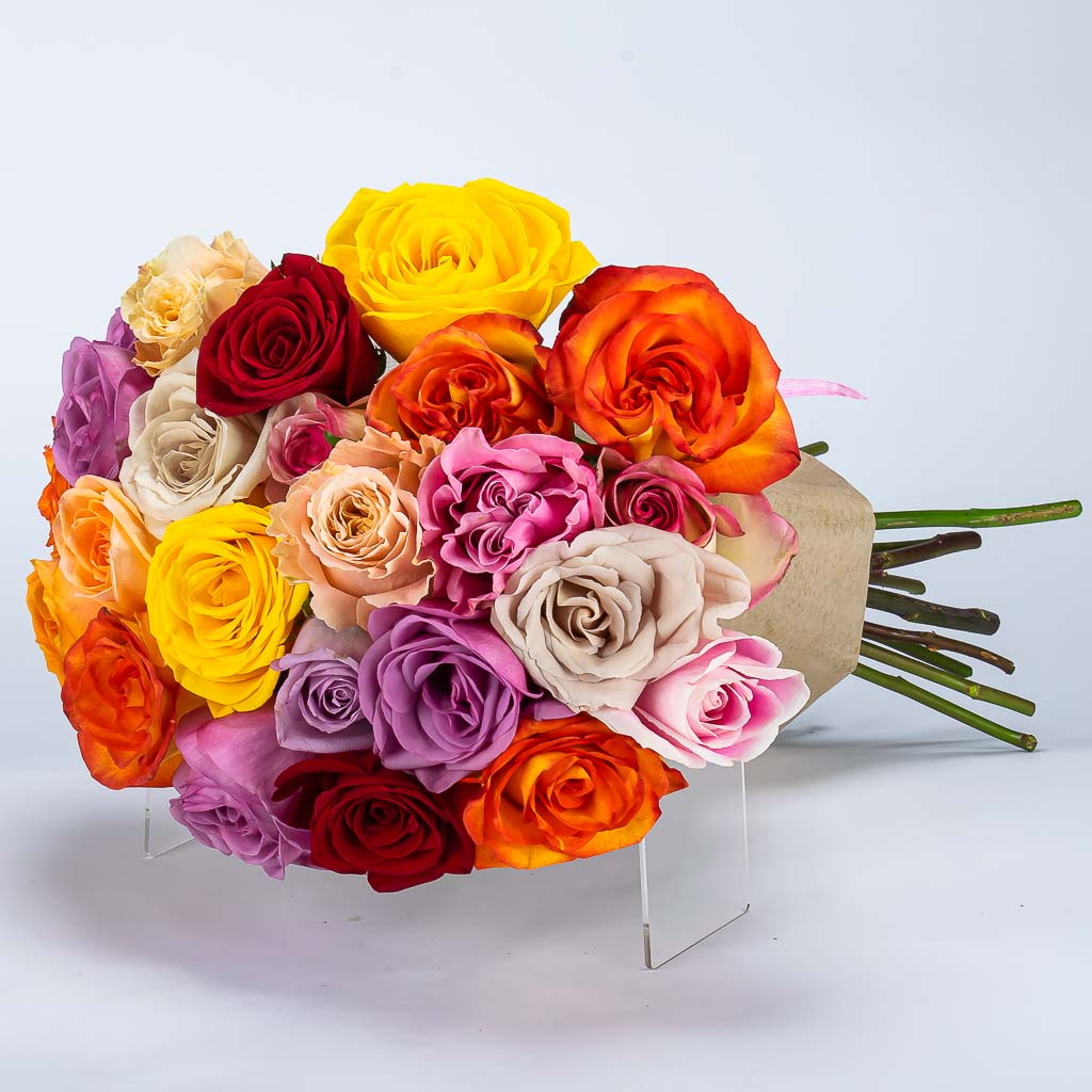 24 Mixed Color Roses