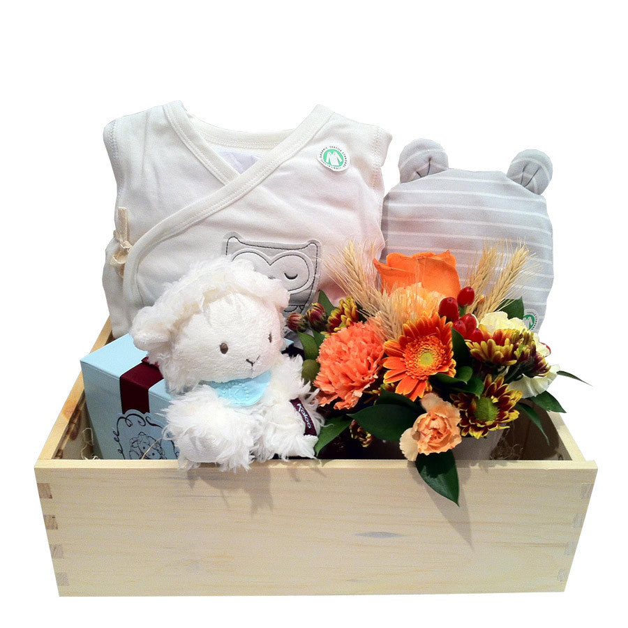 Baby Organic Gift Basket With Flower Bouquet