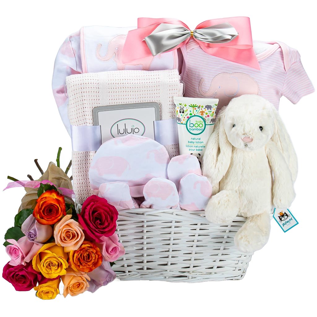 Baby Box Shop Baby Shower Gifts Girl - 12 pcs Baby Essentials for Newborn  Girl, Baby Girl Gifts Newborn - Unique Baby Girl Gifts, Baby Girl Hamper  for