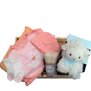 Baby girl lamb basket