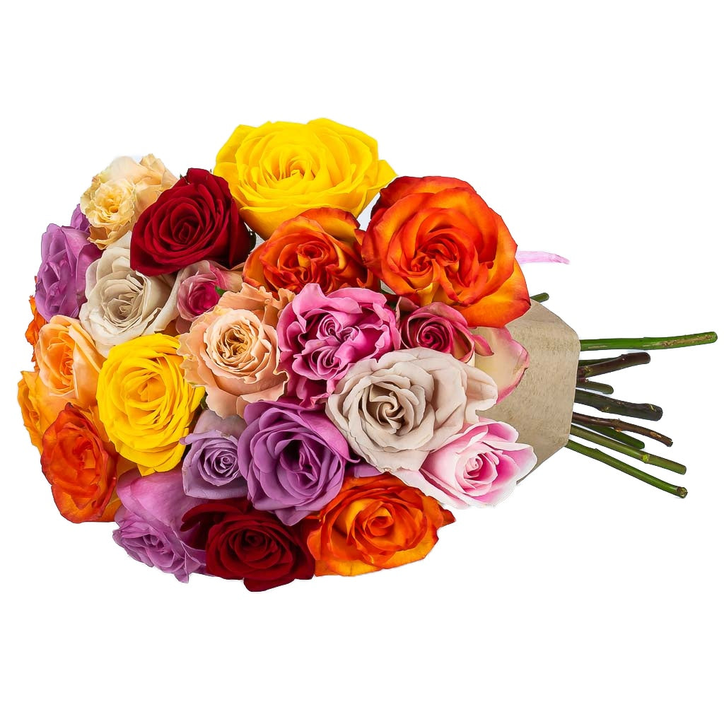 Two Dozen Mixed Colour Rose Bouquet