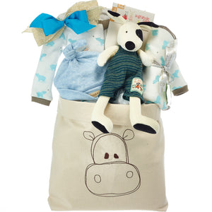 Organic Baby Boy Gifts