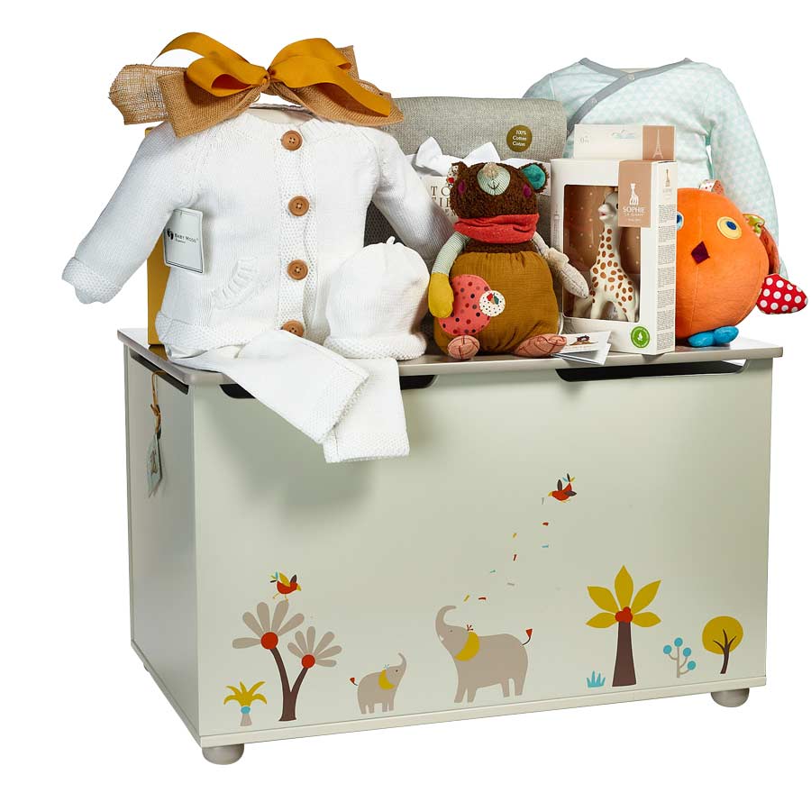 Baby Toy Chest Gift