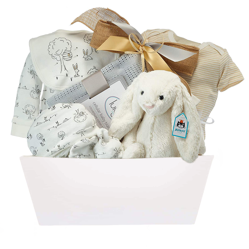 Unisex baby gift hot sale basket